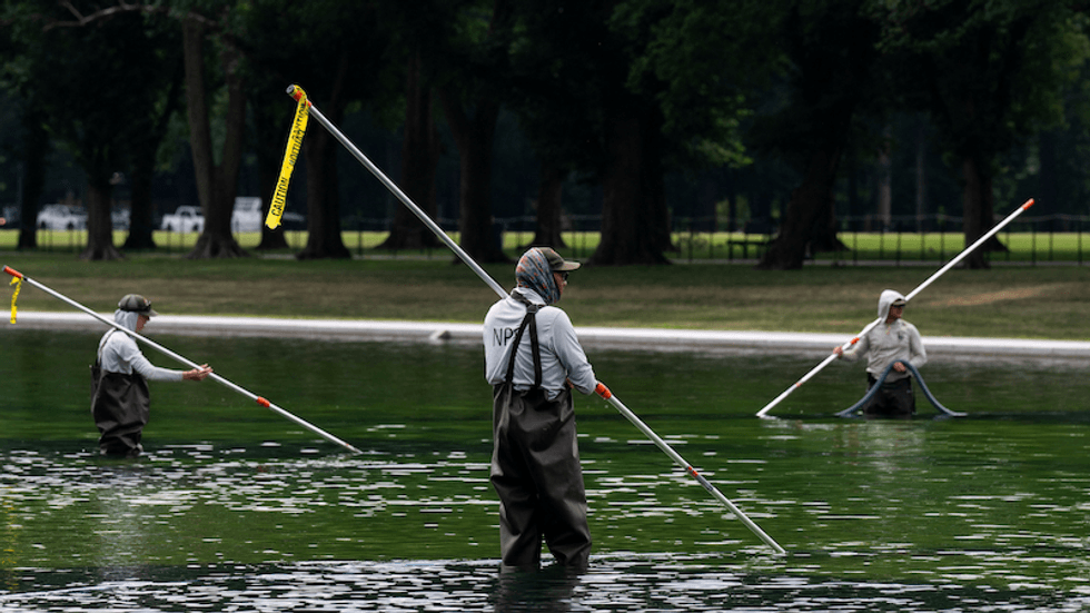 Astonishing irony as no-bid contractor behind algae-ridden pool named: 'Can't be true'