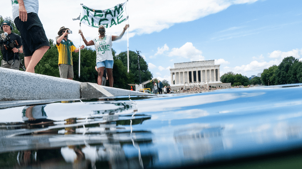 CNN reporter surprises himself with development in Trump's algae-filled Reflecting Pool
