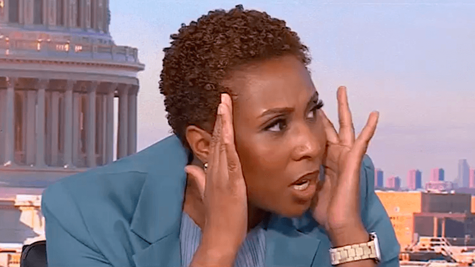 'Blech!' CNN host audibly shudders debating Mike Johnson's take on D.C. dating