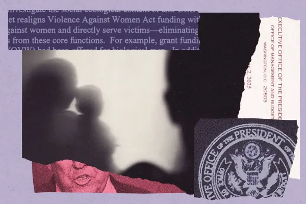 'Horrified': Trump rips apart 4 decades of work protecting battered women