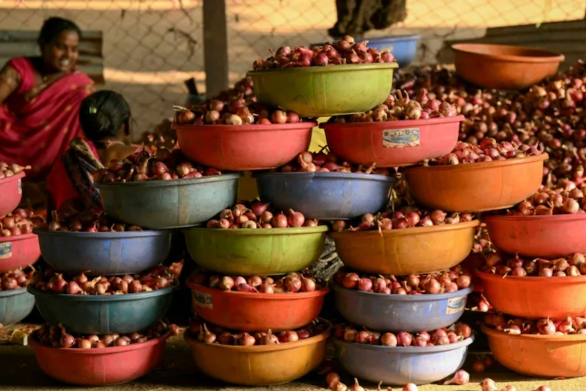 India's onion farmers cry foul at politicians' price recipe