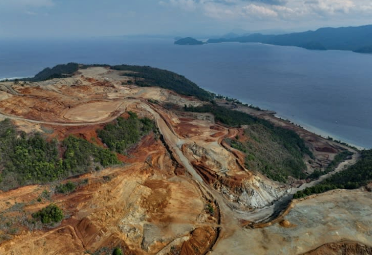 Indonesia deforestation rises for third year running: NGO