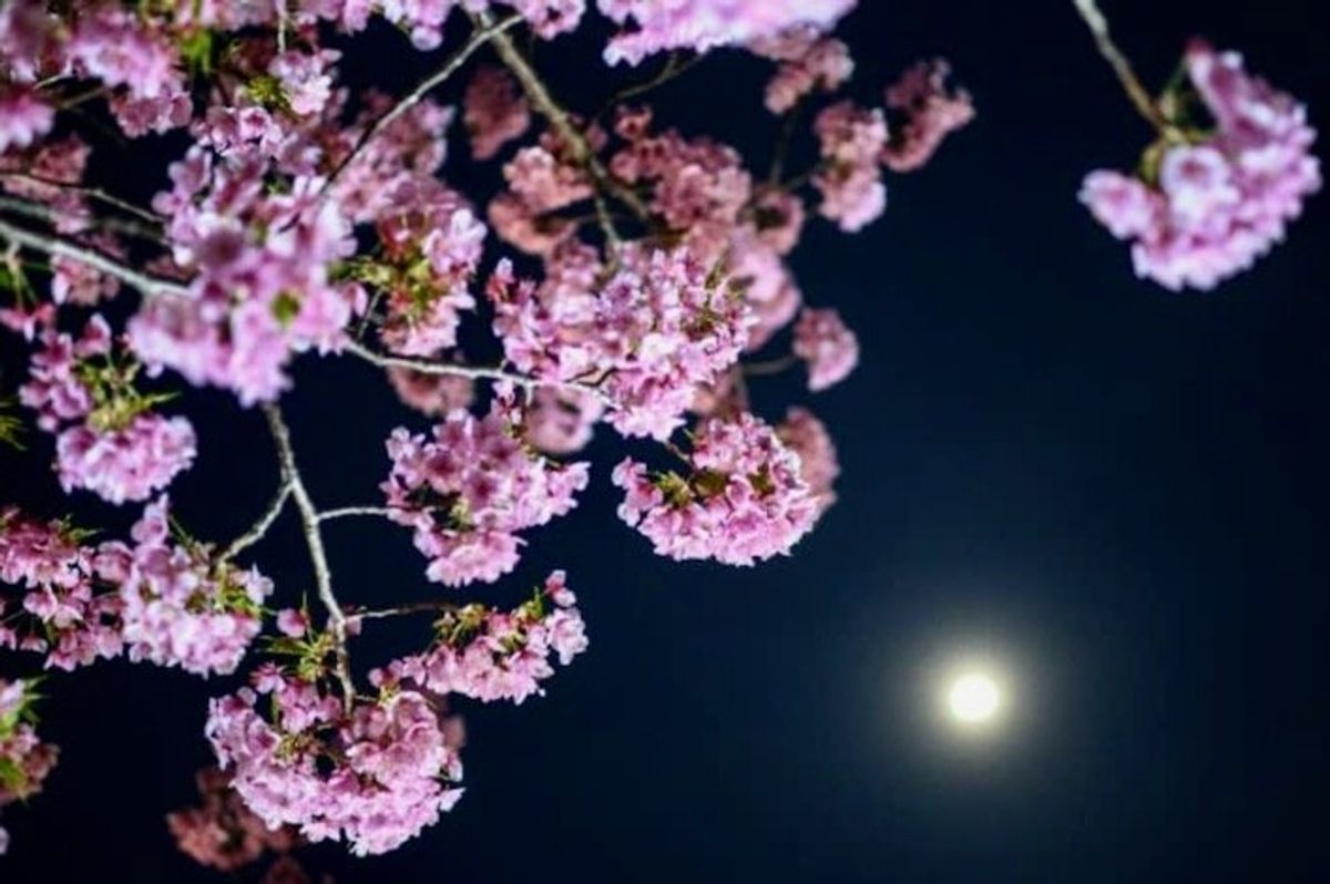 Japan startup hopeful ahead of second moon launch