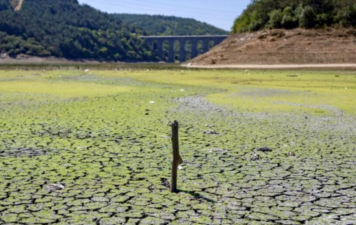 'Bad days await': Istanbul dams run low in summer heat