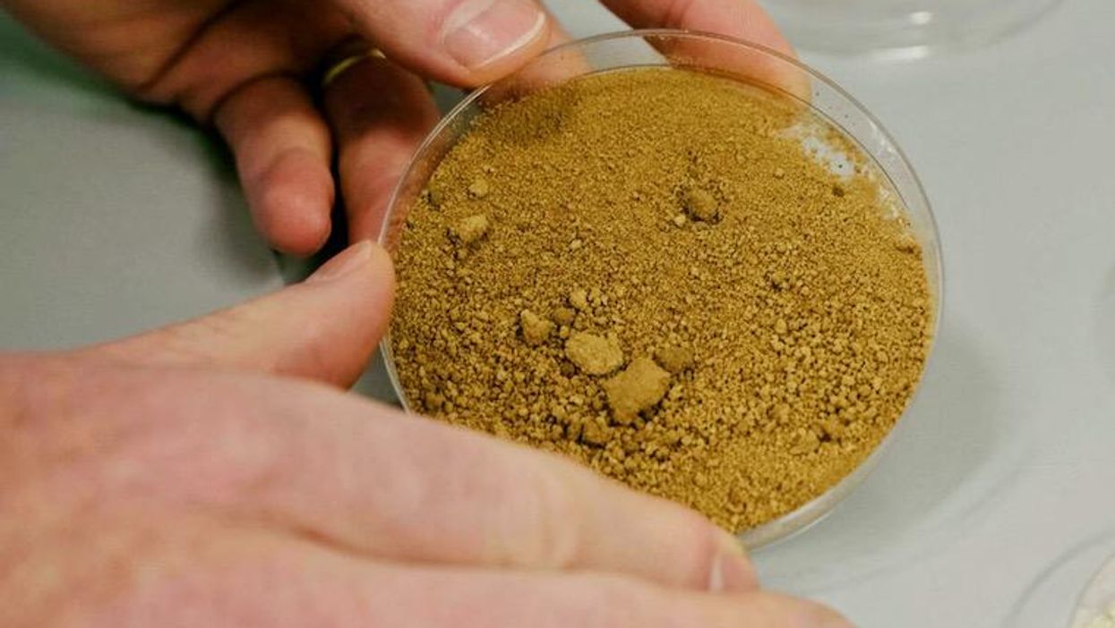 Finnish scientists create 'sustainable' lab-grown coffee
