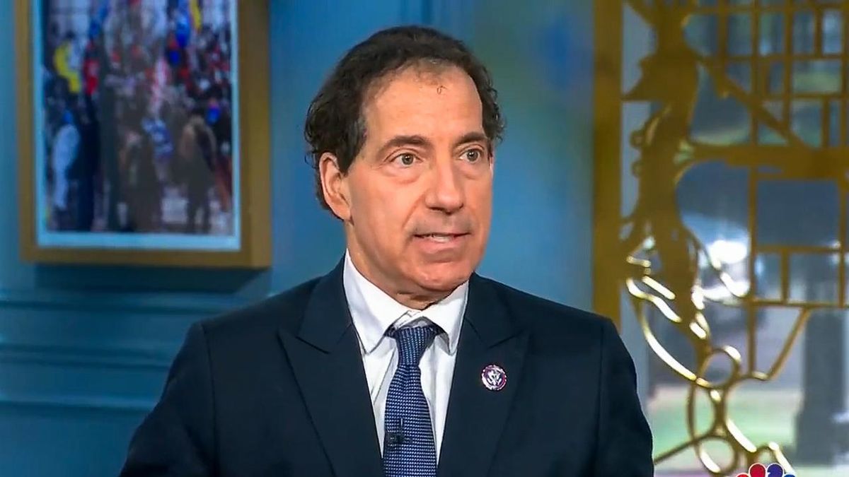 Jamie Raskin: Trump confessed by essentially admitting 'I did it and I'll do it again'