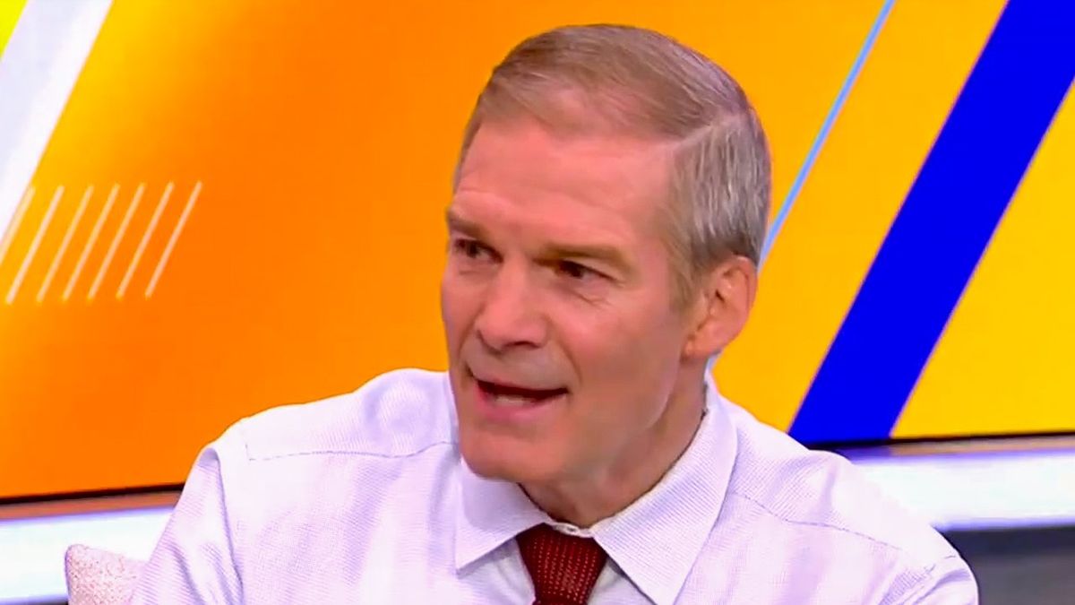 'They're gonna make fun of that!' Frustrated Jim Jordan defends 'not weird' J.D. Vance