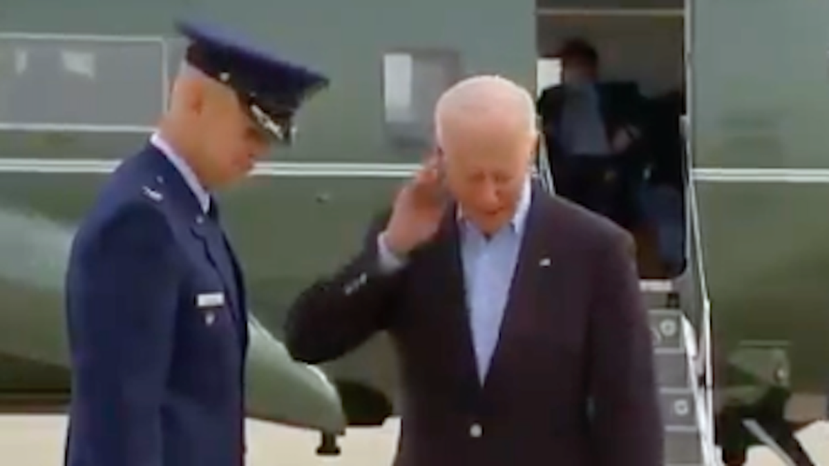QAnon cultists go wild speculating about cicada landing on Joe Biden's neck