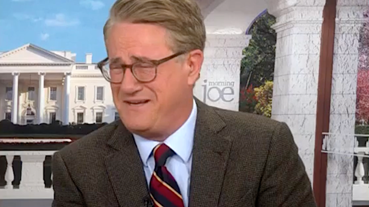 'My God!' Morning Joe bursts out laughing over Trump official's 'fraudster' slurs