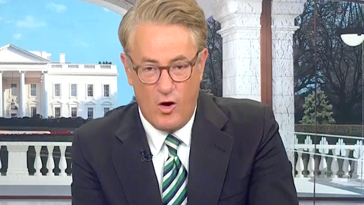 'It's nonsense!' Morning Joe uses bed bug analogy as he flips out on Elon Musk