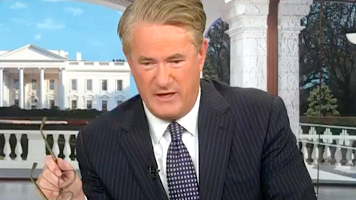 'Extraordinarily damaging': Morning Joe shocked by Elon Musk's next target for cuts