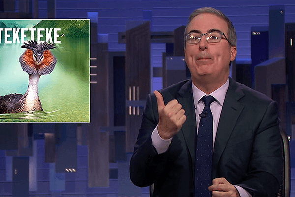 John Oliver reveals the hilarious backlash he got from New Zealand bird aficionados