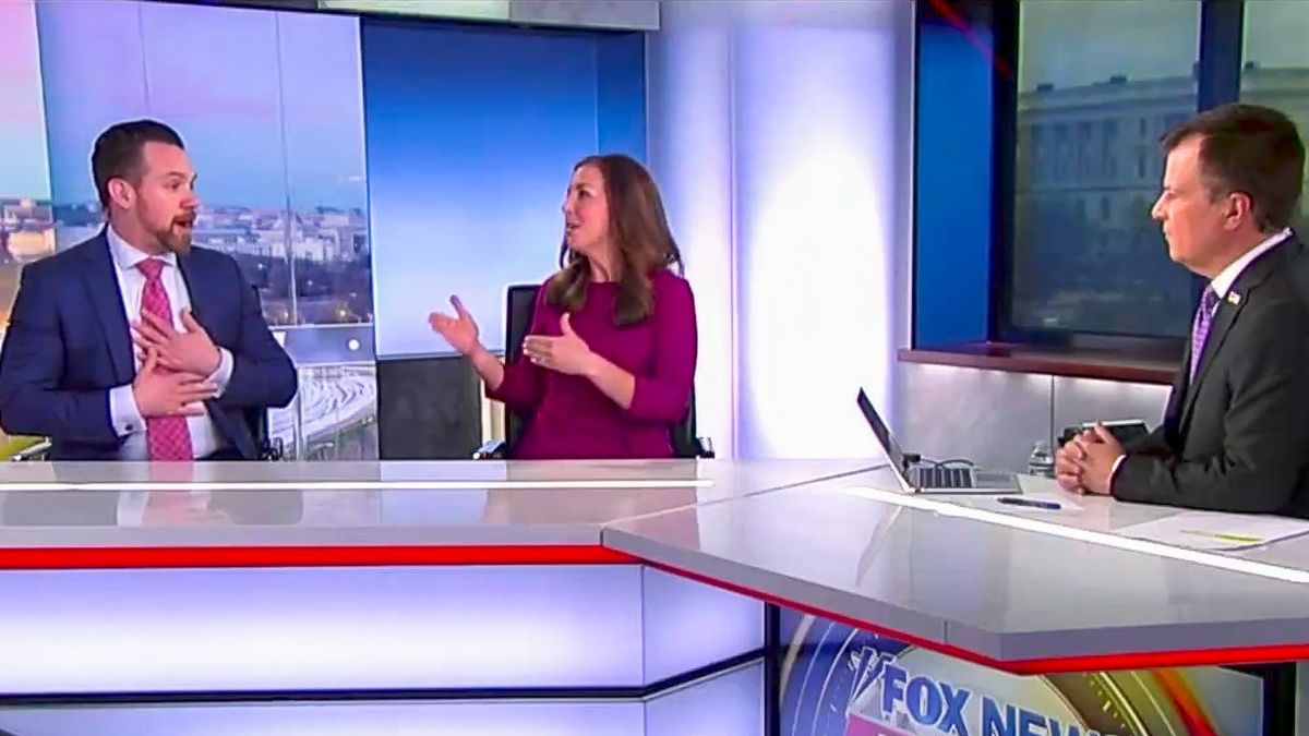 'He makes things up': Fox News panelist curses out Elon Musk for telling 'lies'