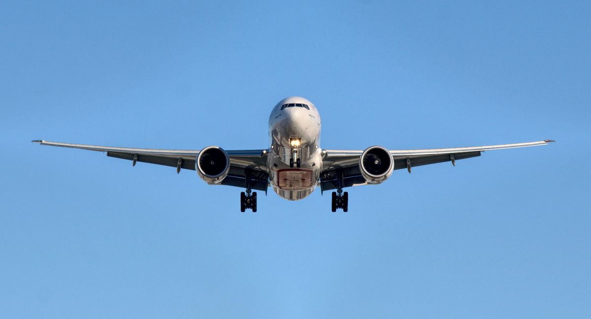 Flying High: Pilot who tried to cut in-air engine accused of eating magic mushrooms