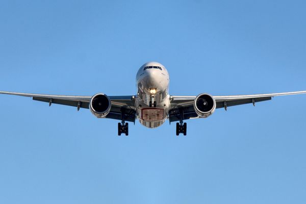 Flying High: Pilot who tried to cut in-air engine accused of eating magic mushrooms