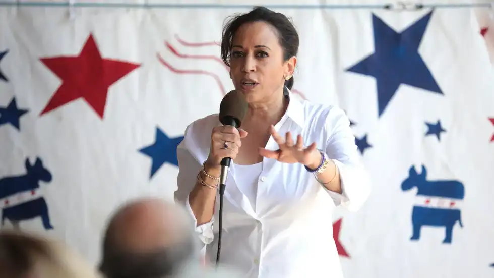 These 9 suburban counties could be Harris' key to the White House: analysis