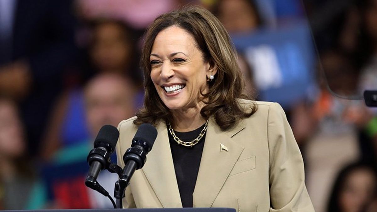 Voters are ‘showing up!’ Harris team touts ‘enthusiasm’ and 'momentum' in final days