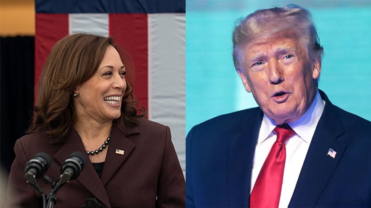 'Tighty-whities in a twist': The View laughs at effect Harris is having on Trump