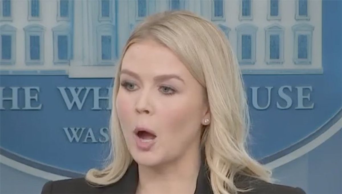 Trump press secretary snarls as reporter grills her on Trump's Gaza occupation plan