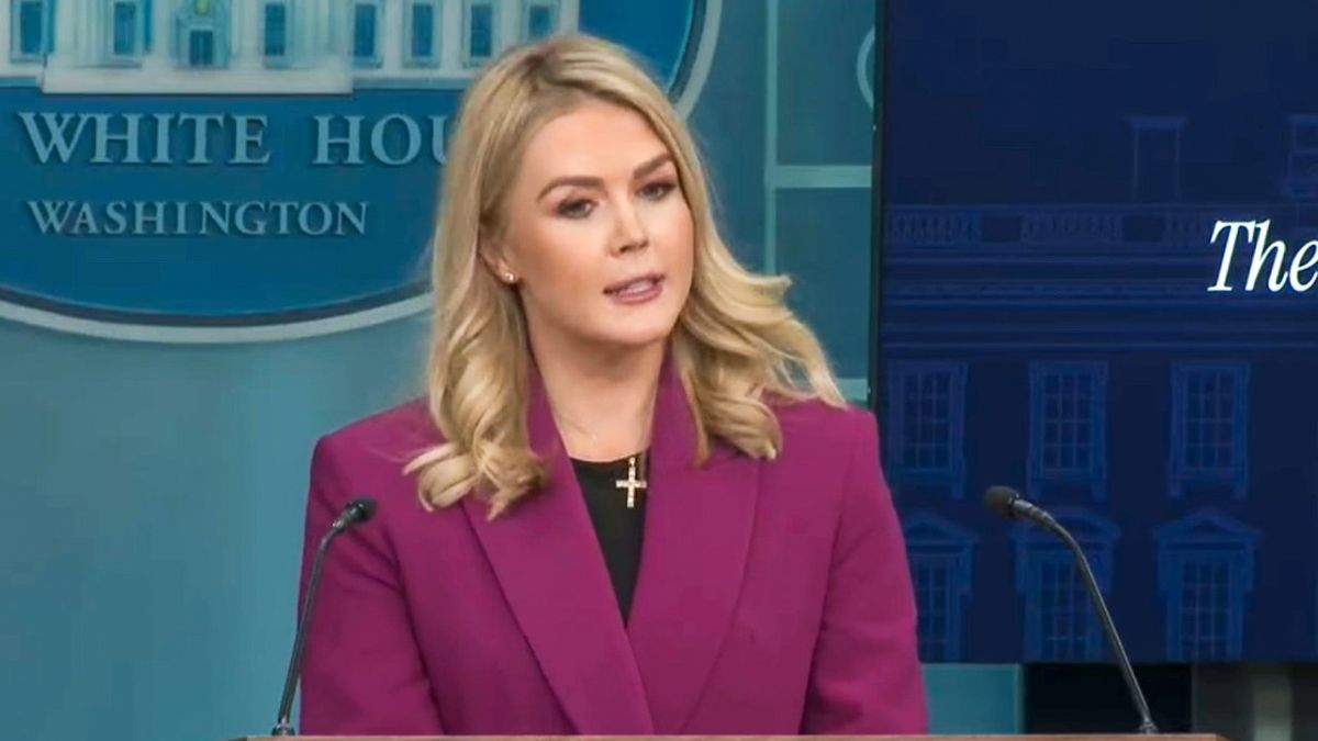 'I commit to telling the truth': Trump's Karoline Leavitt vows at first press conference