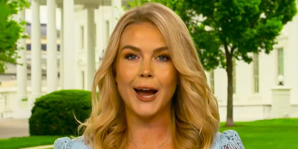 'Entire Pentagon': Karoline Leavitt claims all 20K DOD employees are against Pete Hegseth