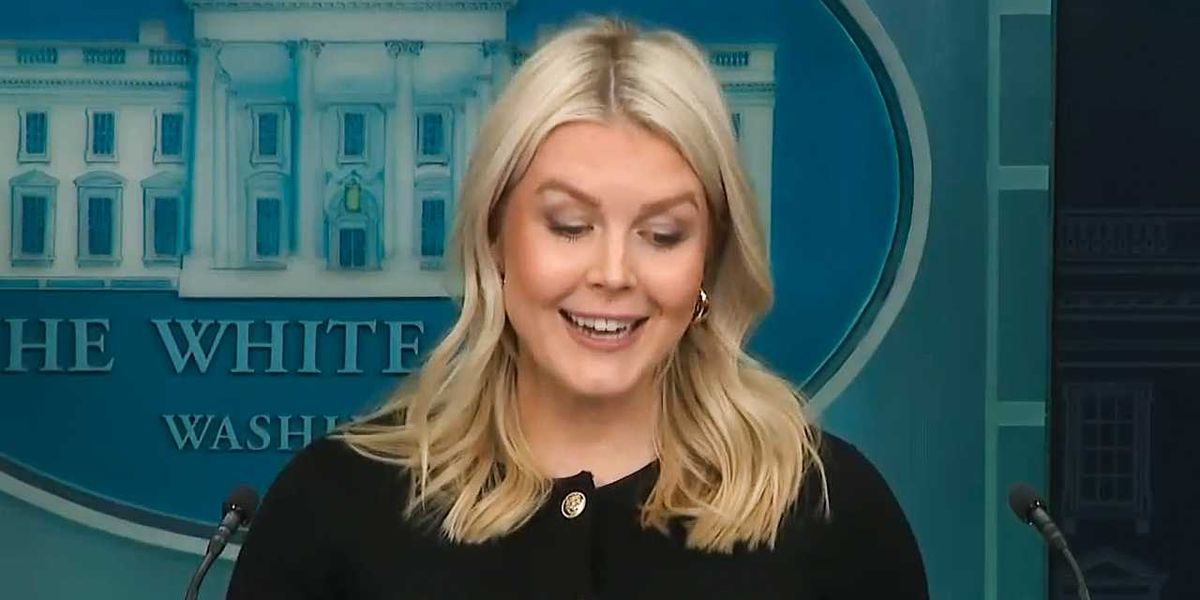 Karoline Leavitt can't keep straight face while delivering 'obviously true' claims