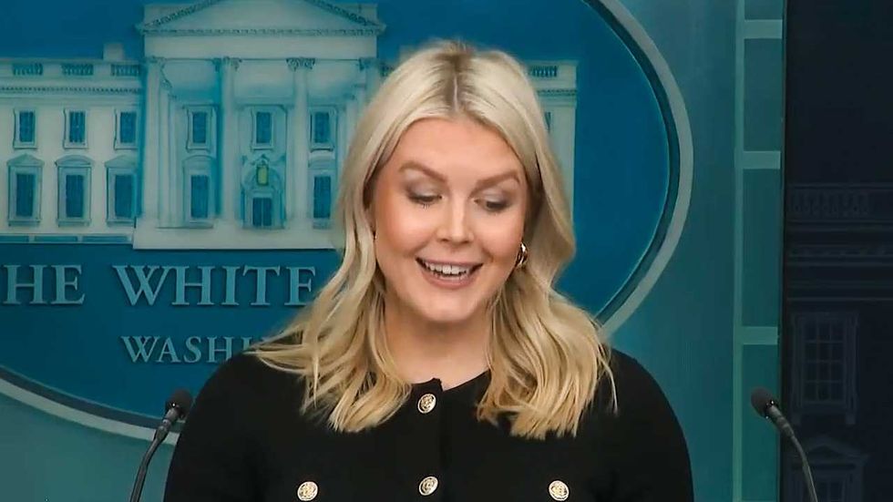 Karoline Leavitt can't keep straight face while delivering 'obviously true' claims