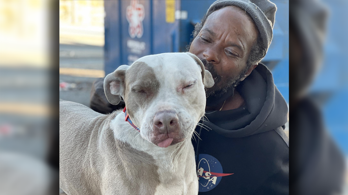 ‘Scared’ homeless man runs into burning shelter to save dogs and cats