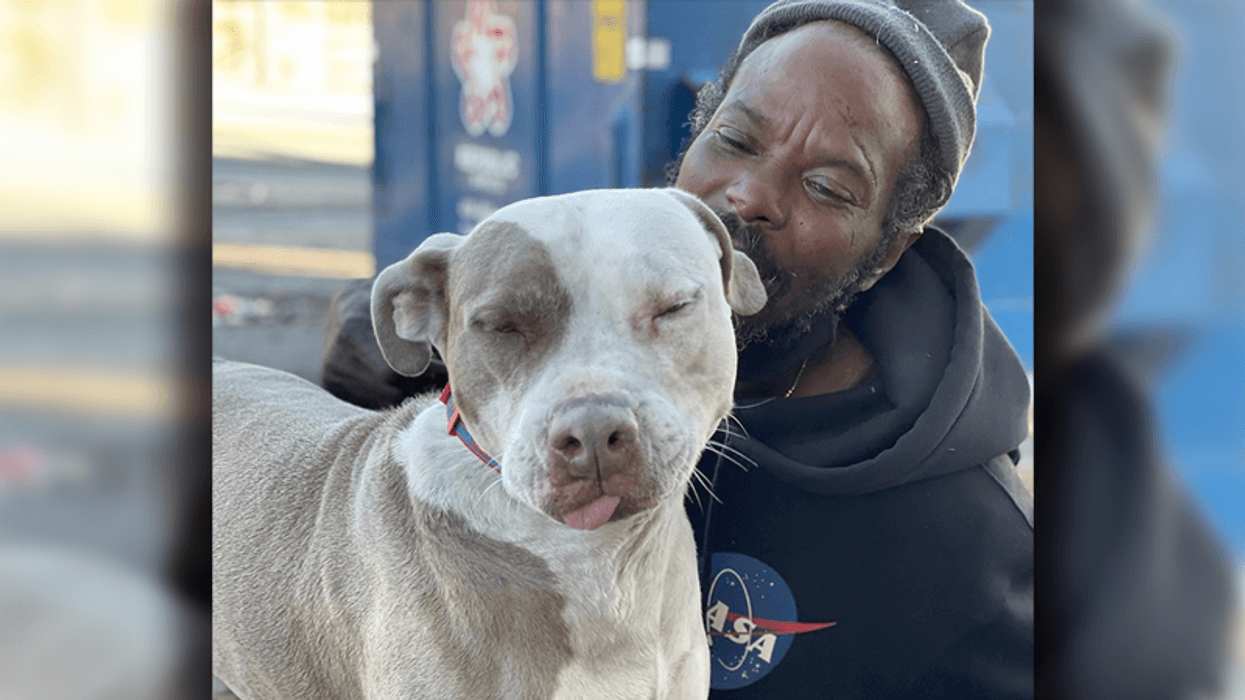 ‘Scared’ homeless man runs into burning shelter to save dogs and cats