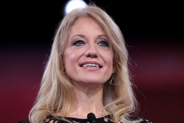 Fox Business host and Kellyanne Conway beg Trump: 'Less insults, more insights'