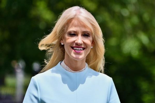 Trump suspects Kellyanne Conway is leaking J.D. Vance drama: report