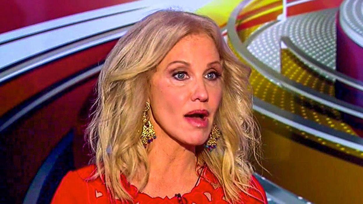Kellyanne Conway pitches fit at Dems for 'vomiting' out warnings about 'protecting democracy'
