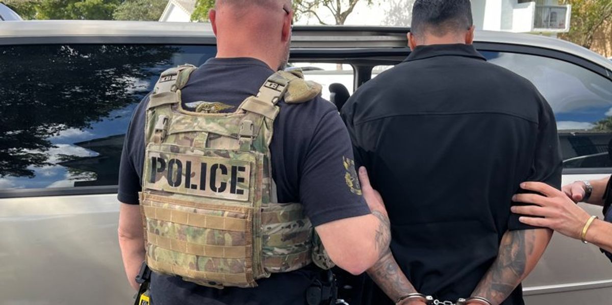 ICE makes stunning claim Congress doesn't get to oversee facilities due to shutdown