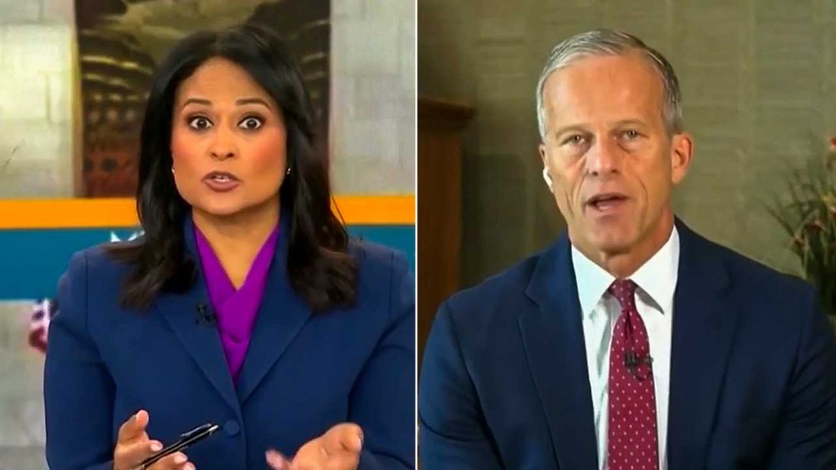 John Thune praises tariffs as he admits farmers have 'big harvest' with 'no place to go'