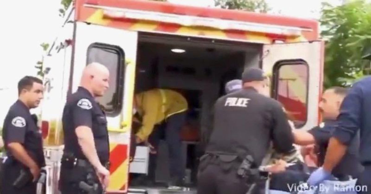 Viral video shows LAPD officer allegedly punching suspect handcuffed to ambulance stretcher