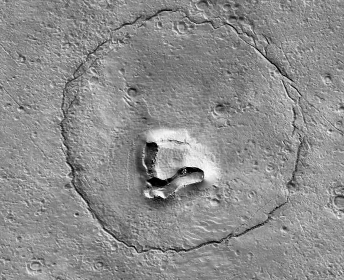 Is there life on Mars? Maybe, and it could have dropped its teddy
