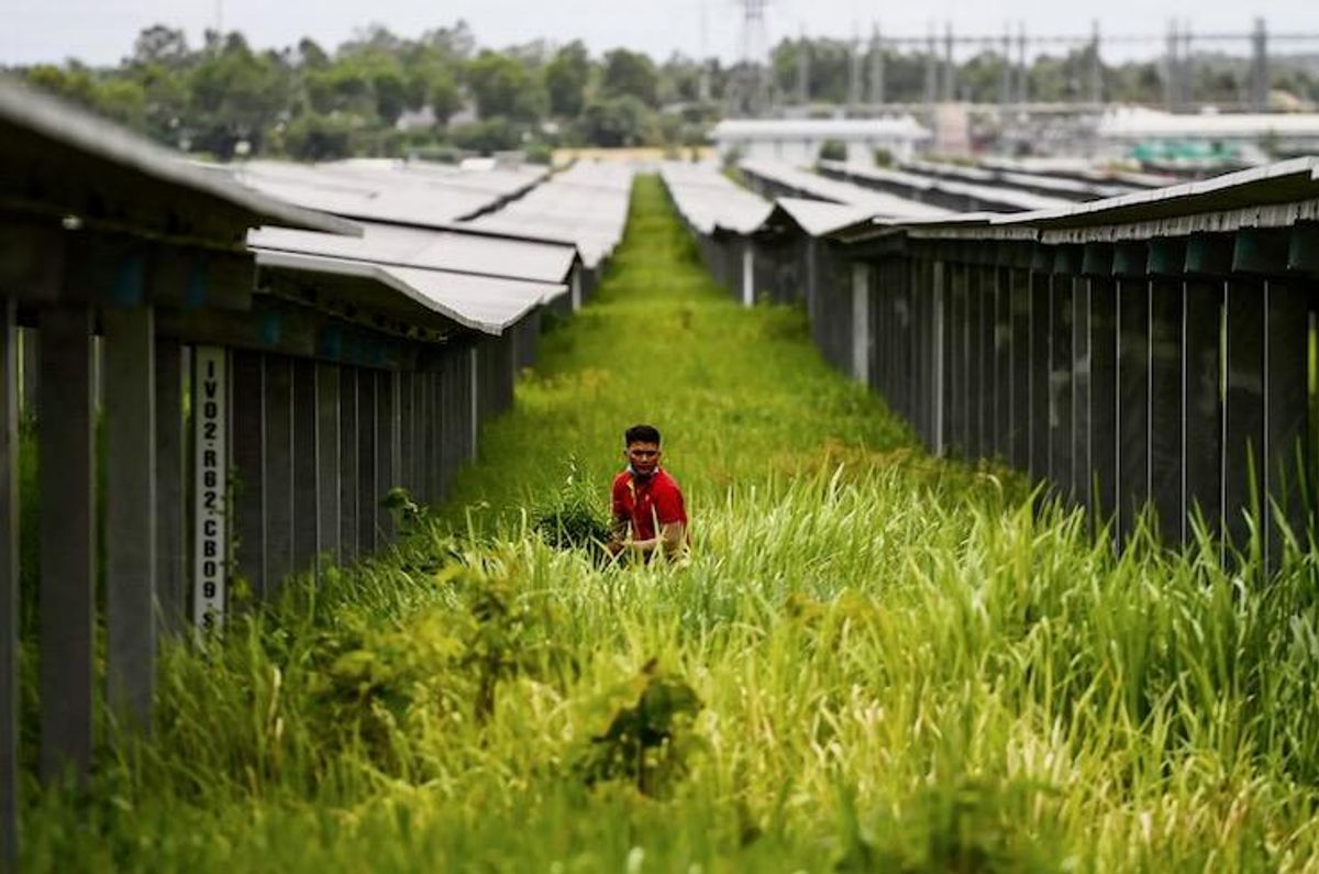 Vietnam struggles to break one of world's biggest coal addictions