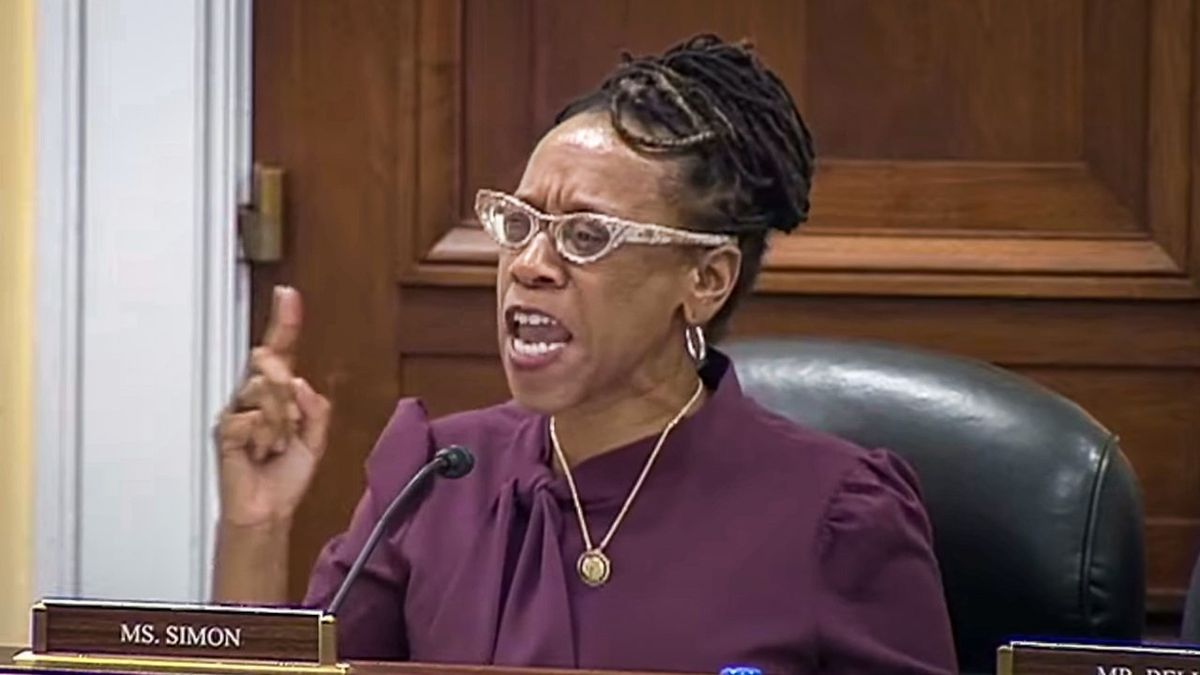 Dem rips GOP witnesses at DEI hearing: 'Keep MLK's name out of your mouth!'