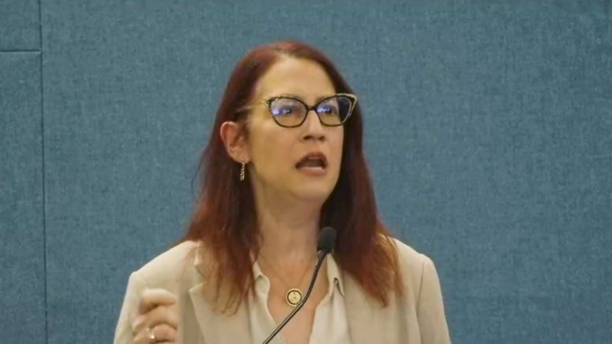 'Don't believe you pushed hard enough!' Dem's town hall gets rowdy over Trump resistance