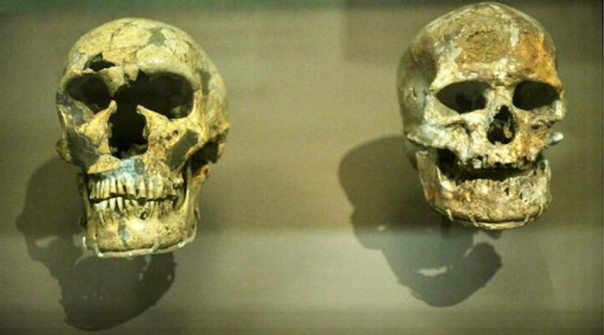 New research suggests modern humans lived in Europe 10,000 years earlier than previously thought, in Neanderthal territories