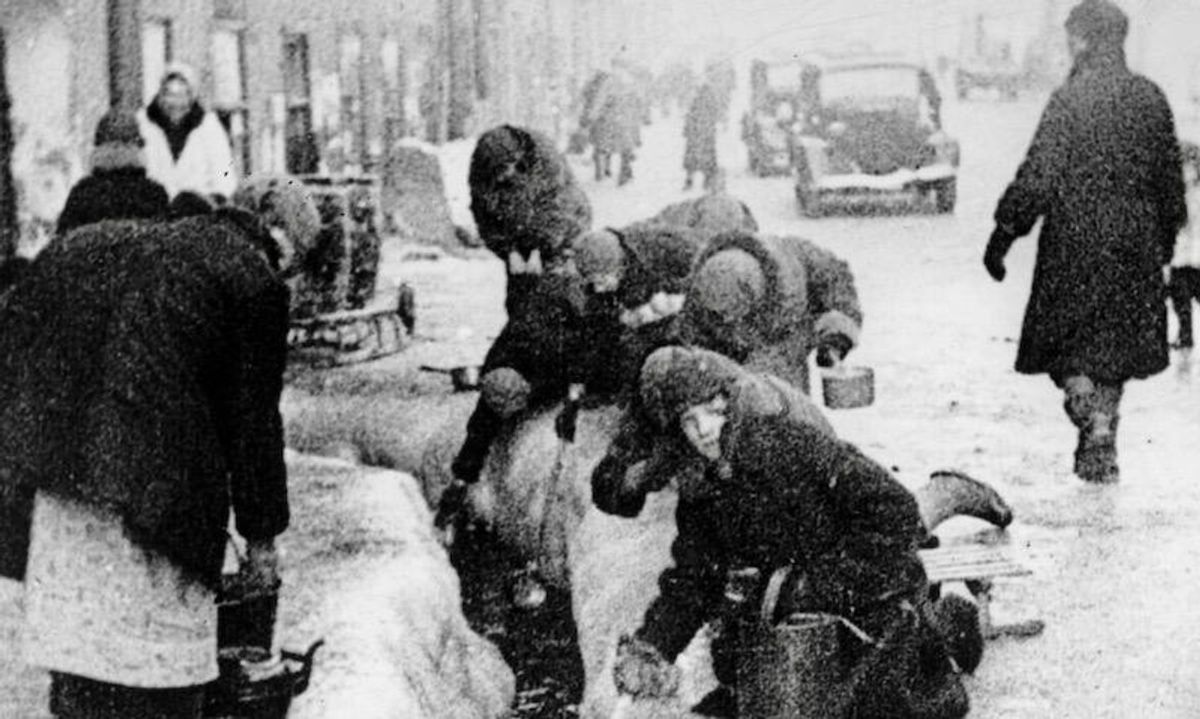 ‘An unprecedented humanitarian catastrophe’: The siege of Leningrad, 80 years on