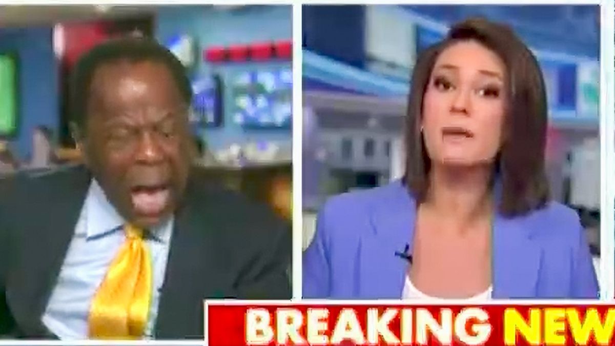 'Why are you yelling?' Fox News MAGA pundit loses it after he's called out by Dem