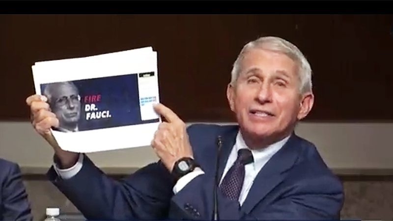 anthony fauci rand paul