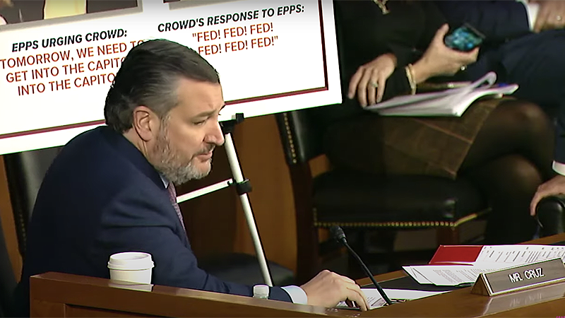 ted cruz