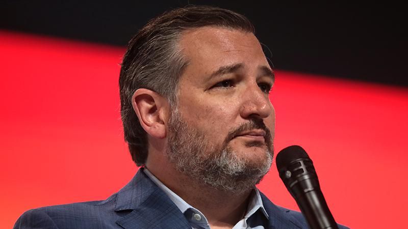 ted cruz