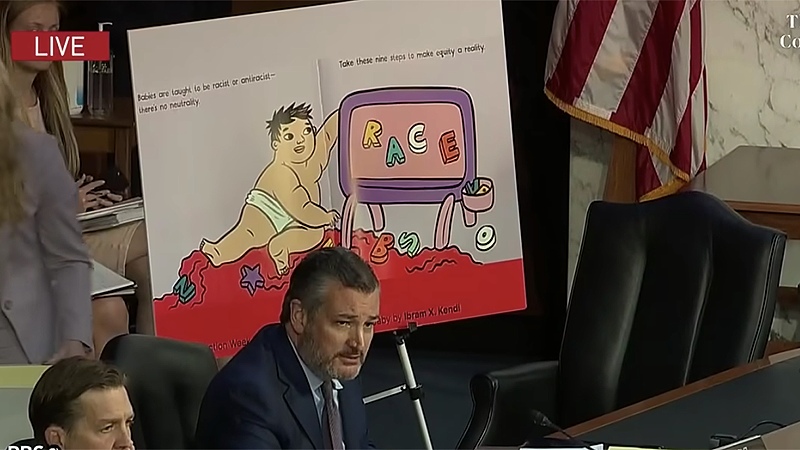 ​Ted Cruz disagrees with book saying babies aren't born racist