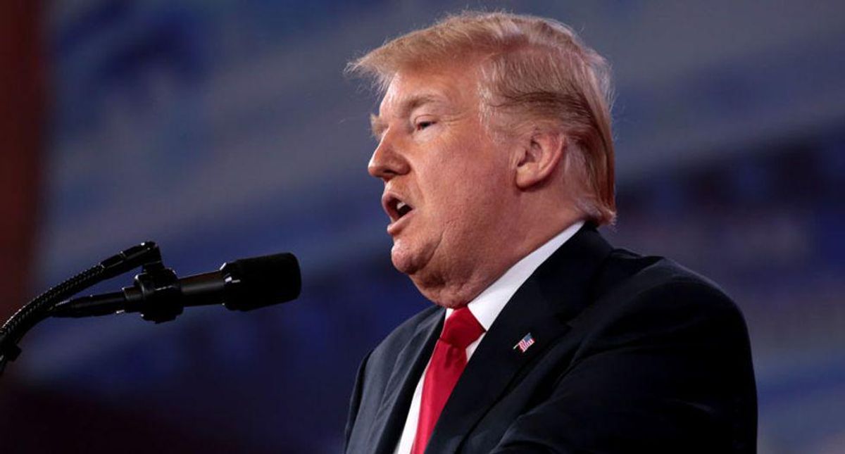 How Trump's 'destructive’ and 'erratic behavior' could help Democrats keep their Senate majority in 2022