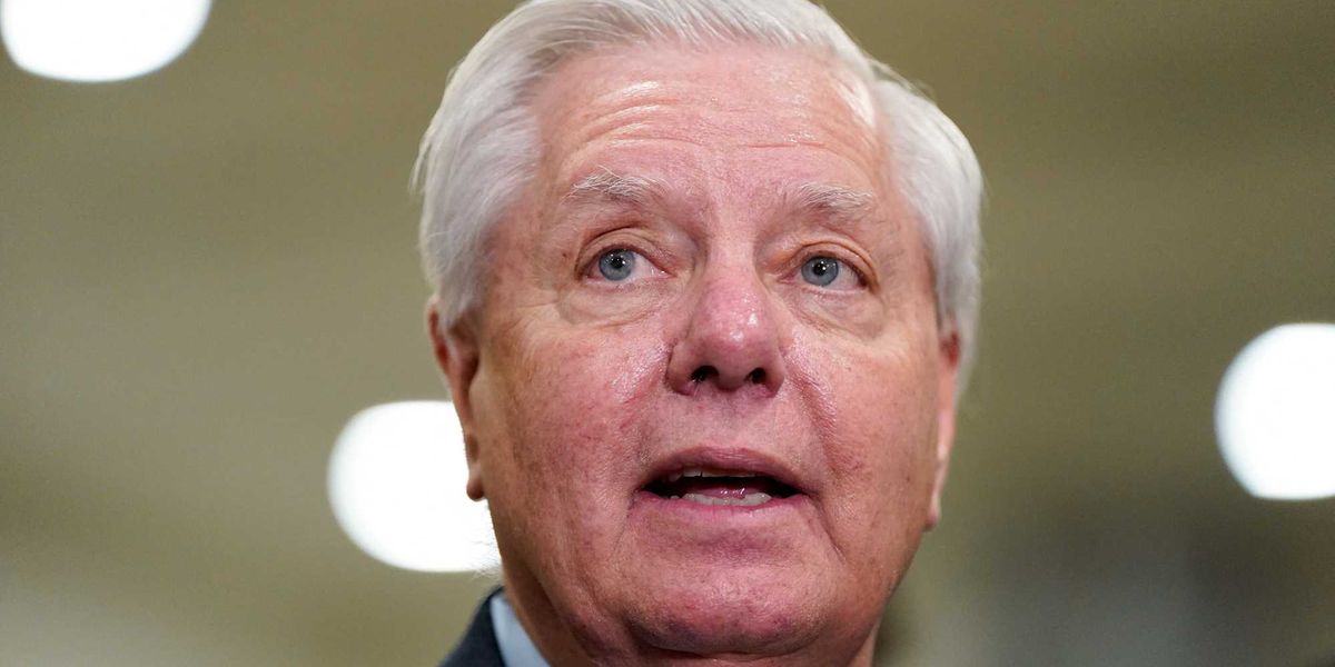 'Revolting' Lindsey Graham interview sends GOP pollster into a tailspin ...