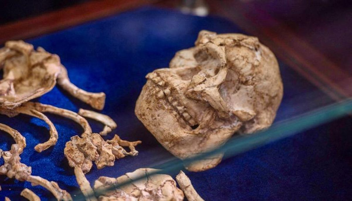 Early human ancestors one million years older than thought