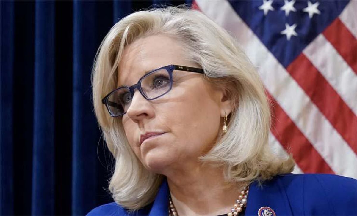 'Listen to this twit': Liz Cheney issues direct put down to MAGA darling